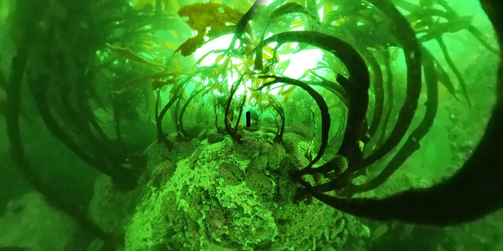 VID_20240510_120530_00_007_2024-11-08_10-12-48_capturadepantalla